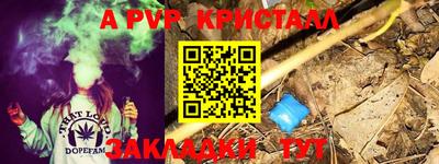 ПСИЛОЦИБИНОВЫЕ ГРИБЫ Кимры