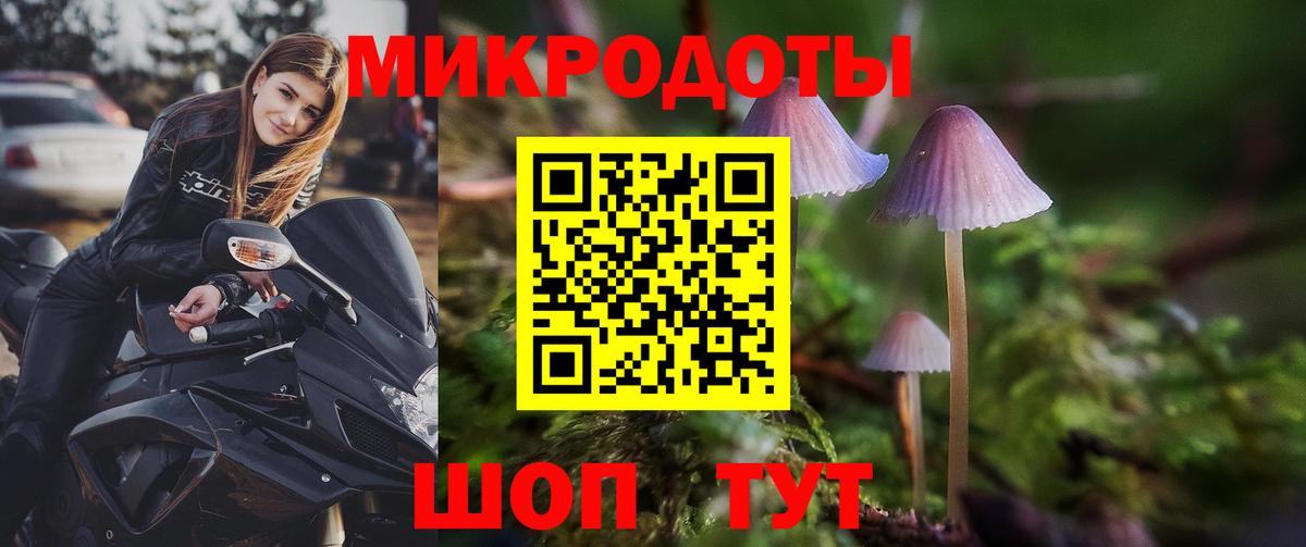 Краснодар  Галлюциногенные грибы MAGIC MUSHROOMS  Псилоцибиновые грибы Psilocybe  Вход с VPN 